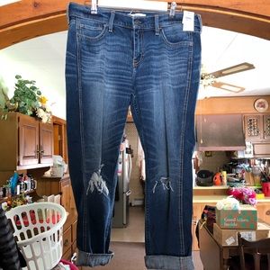 Abercrombie and Fitch crops